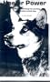 Heeler Power: A Guide to Training the Working Australian Cattle Dog