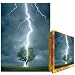 Jigsaw Puzzle, Lightning Striking Tree I, 19.25 in X 26.5 in. Ships same day.