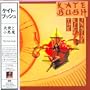 The Kick Inside (Japanese Mini-Vinyl CD)