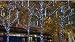 Snowfall - Starter Set of 5 Single-Sided 14" LED Christmas Icicle Light Tubes