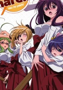 明日のよいち！（samurai harem）コンプリートコレクション（1-12話：北米版）