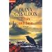 Feuer und Stein: Roman: Band 1 der Highland-Saga