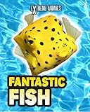 Fantastic fish