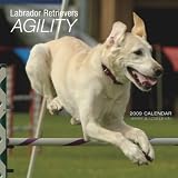 Labrador Retrievers Agility 2009 Square Wall Calendar