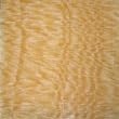18 x 18 Honey Onyx Polished Flooring Field Tiles