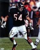 Brian Urlacher Chicago Bears Autographed 8x10 Photograph