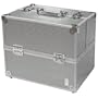 Caboodles Pro Cosmetic Case - Silver