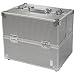 Caboodles Pro Cosmetic Case - Silver
