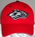 Search : New Mexico Lobos Wool Team Color One Fit Hat