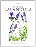 The genus lavandula