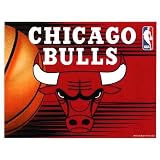 Chicago Bulls Ultra Decal