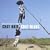 Chat Noir Chat Blanc [European Import]
