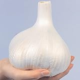 国華園　ニンニク種球　ジャンボニンニク　500g