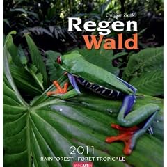 Regenwald 2011
