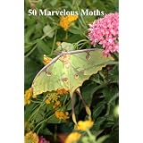 50 Marvelous Moths