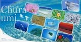 2010うみまーる卓上カレンダー‘ちゅら海’