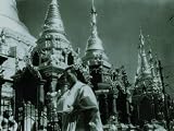 Burmese Harp -  Criterion Collection