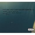 Nine Inch Nails: And All That Could Have Been Cd 2 (UK Import)
