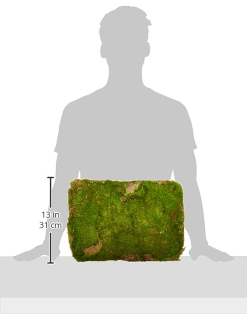 Super Moss (21508) Preserved Sheet Moss, Fresh Green 2024 sq feet Appx