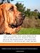 That's a Good Dog: Dog Breeds of the Hound Group (Basset Hound, Beagle, Bloodhound, Dachshund, Foxhound, Greyhound, and More)