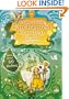 Flower Fairies Enchanted Garden Sticker Activity Book