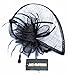 AM CLOTHES Womens Formal Party Cocktail Flower Feather Headband Fascinator Black