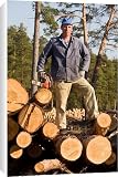 Canvas Prints of A forestry worker with a chain saw stands on a pile from ArcticPhoto