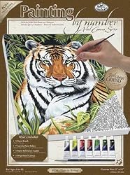 9 Inch x12 Inch Paint By Number Kits - Tiger In Hiding