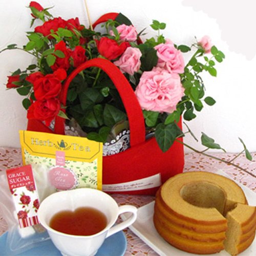 【5/9（日）お届け】しあわせ色のミニバラ鉢植えとスイーツセット　真っ赤なフエルトバック入り【母の日】【期間限定】【指定日限定】【沖縄・離島は配送いたしません】【2010母の日】