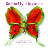 Butterfly Blossoms 2011 Wall Calendar (Calendar)