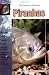 The Guide to Owning Piranhas The Guide to Owning Piranhas