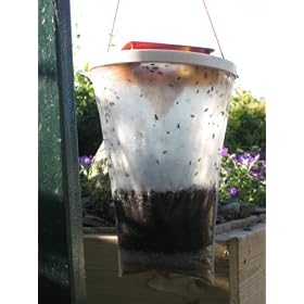 Red Top Fly Trap