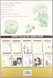 Flores, frutas y hortalizas / Flowers, Fruits and Vegetables: Como dibujar la naturaleza muerta vegetal para uso de estudiantes de escuelas de arte y de artistas / How to draw still life vegetable for use by stud (Arte Y Tecnica Del Dibujo / Art and Drawing Techniques)-