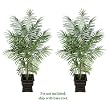 TWO 7' Artificial Tropical Areca Palm Trees, with No Pot,