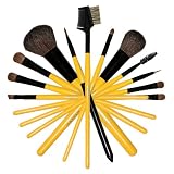 Shany Cosmetics Urban Gal Collection Brush Set (12 Piece Natural Cosmetics Brushes with Leopard Magnetic Pouch), 13 Ounce