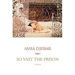 So Vast the Prison: A Novel book cover