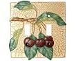 Crackle Fruit Double Switchplate Cover