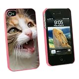 Graphics and More Tabby Kitten Cat Meow - Snap On Hard Protective Case for Apple iPhone 4 4S - Pink - Carrying Case - Non-Retail Packaging - Pink