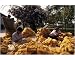 10x8 Photograph (25x20cm) Raw silk, Thailand by Robert Harding