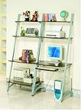 Modern Style Silver Finish Metal & Wood Ladder Bookshelf