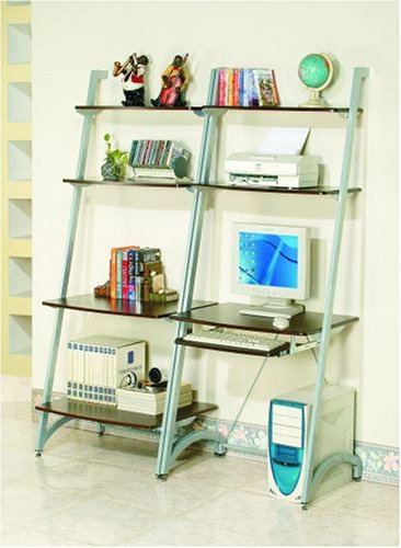 Modern Style Silver Finish Metal & Wood Ladder Bookshelf