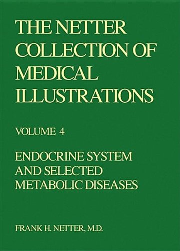 The Netter Collection of Medical Illustrations - Endocrine System, 1e (Netter Green Book Collection)