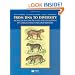 From DNA to Diversity: Molecular Genetics and the Evolution of Animal Design