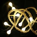 100 warm-white LED Berry lights, transparent wire, multi-function controller, outdoor transformer and controller - indoor or outdoor Christmas lights