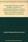 Developing a voluntary sector strategy