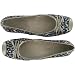 Sam & Libby ZEES Blue Multi Cheetah