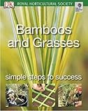 Bamboos and grasses
