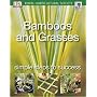 Bamboos and Grasses: Simple Steps to Success (RHS Simple Steps to Success)