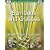 Bamboos and Grasses: Simple Steps to Success (RHS Simple Steps to Success)