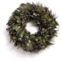 18" Shades of Basil Wreath
